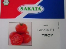 Tomate Troy F1